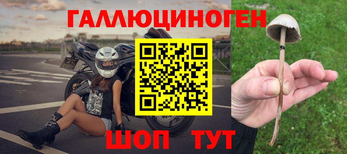 Псилоцибиновые грибы Psilocybine cubensis Рыбинск