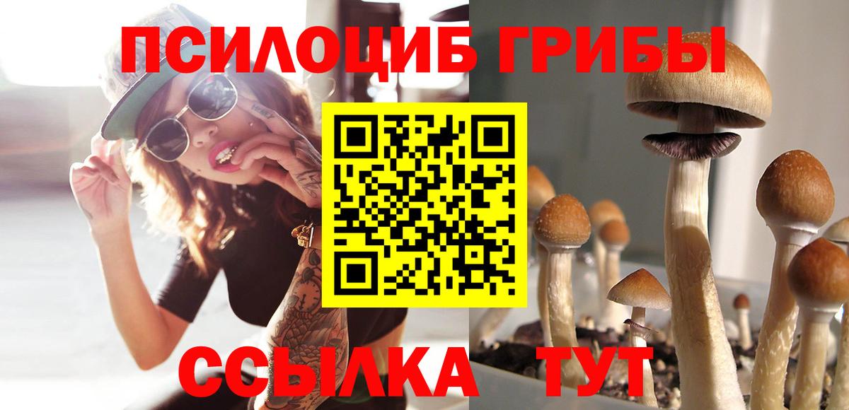 Галлюциногенные грибы ЛСД  Псилоцибиновые грибы прущие грибы  хочу наркоту  Вход с VPN  Рыбинск 